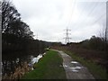 Transmission cables cross the canal