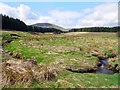 Stream bend west of Threestoneburn House