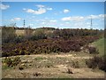 Lofthouse Colliery Nature Park