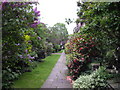 Pathway in Chelsea Park Gardens, Chelsea