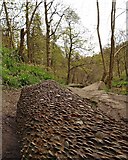SD9829 : The Money log Hardcastle Crags by Steve  Fareham