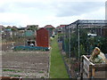 Southbourne, allotments