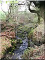 Gorge at Glenhead Farm