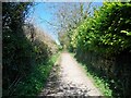 Footpath to Broadwell