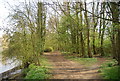 Riverside path, Aylesford