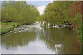 The River Trent