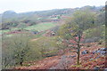 View Above Rhyd, Gwynedd