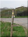 A jauntily angled waymark, The Medway Valley Walk