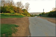 ST4716 : Ham Hill Country Park: Road from Prince of Wales Pub by Mr Eugene Birchall