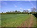 Footpath from Stratford to Snitterfield