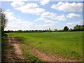 Footpath to Stratford from Snitterfield