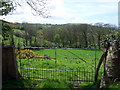 Gateway at Llys-y-coed