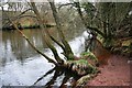 River Usk west of Brecon