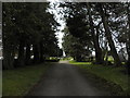 H8173 : The driveway to Desertcreat Church of Ireland by HENRY CLARK