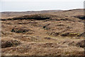 Moorland near Swining