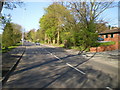 The Buxton Road fountain in its setting