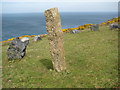 SW4840 : Stone circle near Pen Enys Point by Philip Halling
