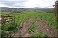 Field beside West Lane