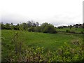 Cornakill Townland