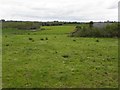 Aghintra Townland