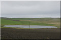 Loch of Hillwell from the west