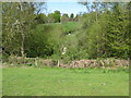 Stile and footbridge on path to Browning