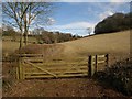 Gate and field boundary, Sanding