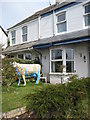 Model cow in Newquay