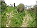 Track above the River Gannel