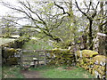 Stile on the footpath, alongside the Cowsic River