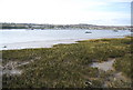 Salt marsh, River Medway