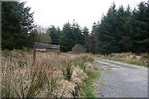 R1770 : Entrance to Letteragh by Graham Horn