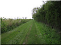 New footpath from Dullingham