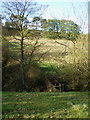 Footbridge south of Easing Farm