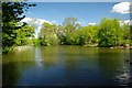 Pond in Dagnam Park