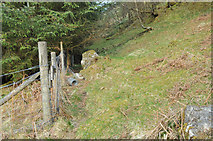 NN0358 : Boundary fence at the edge of the forest by Steven Brown