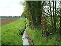 Beck near Beck Farm