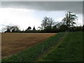 Oast house on Back Lane