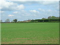 Farmland off Sand Lane