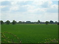 Farmland, Yapham Common