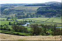 SD9867 : Looking down the hill towards a bend in the River Wharfe by Ian Greig