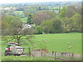 Fields near Mottram St Andrew