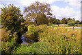 River Colne, London Colney