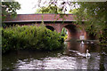 River Colne, London Colney