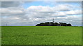 Crop in field E. of Quebec