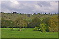 Towards Norbury Park