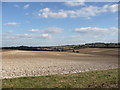 Sparsholt - Looking Across The Fields