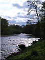 River Ure at West Tanfield