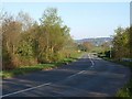 Old A30 at Fingle Glen