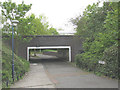 Subway under Tom Cribb Road